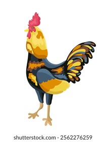 Vector illustration with a bright rooster on a white isolated background. poultry, poultry yard.