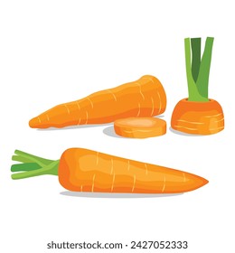 Vector illustration of bright set of colorful half, slice and whole of carrot. Fresh cartoon vegetable isolated on white background. Illustration used for magazine, book, poster, card, cover