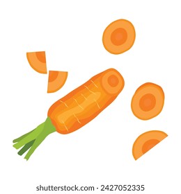 Vector illustration of bright set of colorful half, slice and whole of carrot. Fresh cartoon vegetable isolated on white background. Illustration used for magazine, book, poster, card, cover