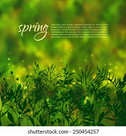 Vector illustration. Bright spring background with element of grass and leaves