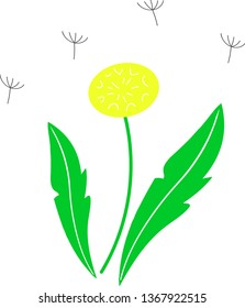 Vector illustration of a bright spring dandelion flower