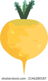 vector illustration of a bright sunny turnip on a white background