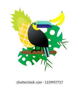 Vector illustration of a bright tropical bird Toucan