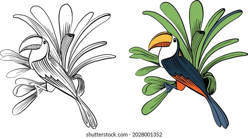 Ilustración vectorial de un ave tropical brillante Toucan sobre un fondo floral. Ilustración colorida de la naturaleza tropical. Loro. Vector Toucan.