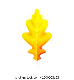 Ilustración vectorial de la hoja de roble amarillo y rojo brillante aislada sobre fondo blanco. Elemento para el diseño otoñal.