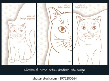 vector illustration with British Shorthair cat  in cartoon style, white and gold