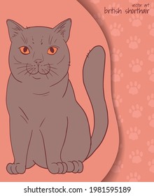 vector illustration with British Shorthair cat  in cartoon style, orange colours