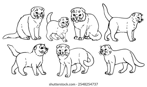 Vector illustration, a British short-haired cat, different poses, sitting, standing, walking, playing, lying down. Line art