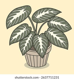 Vector illustration of a broad-leaf Anubias plant in a pot. Flat style, perfect for decor, botanical education, or graphic design projects.