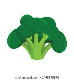 Vector illustration of broccoli and cabbage icon. Collection of broccoli and ingredient vector icon for stock.