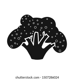 Vector illustration of broccoli and cabbage icon. Graphic of broccoli and ingredient stock symbol for web.