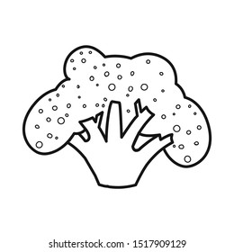 Vector illustration of broccoli and cabbage icon. Graphic of broccoli and ingredient stock vector illustration.