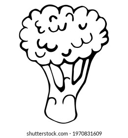 Vector illustration of broccoli in doodle style. Hand drawn black vegetable stroke isolated on white background. Healthy diet. The sketch can be used for decoration, textiles, packaging design.