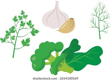 Ilustração vetorial de brócolis, alho, endro e salsa.