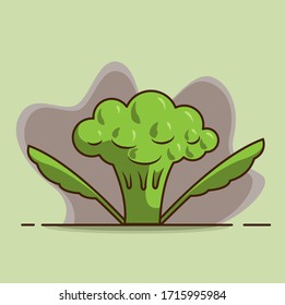 Vector illustration. Broccoli grows on the ground