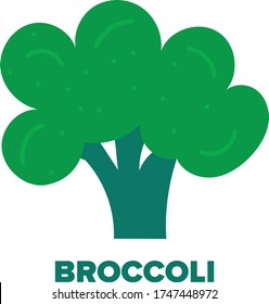 Vector illustration of Broccoli. Healthy Eating Concept.