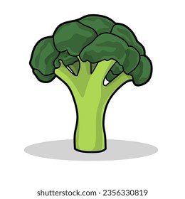 Vector illustration of broccoli isolated on white background