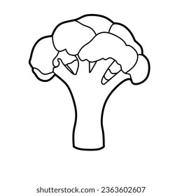Ilustración vectorial del linearato de brócoli aislado para colorear sobre fondo blanco