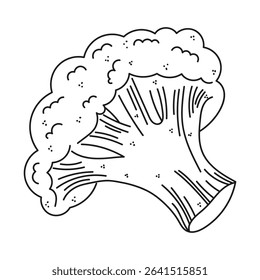 Vector illustration of broccoli on a white background. Organic healthy food. Vector hand drawn illustration in doodle style. Ideal for recipes, various designs. Art. Line art. Vegetable. Healthy food