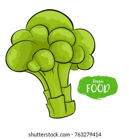 Vector illustration of broccoli. Sketch, color. Vivid picture of a vegetable. Fresh food