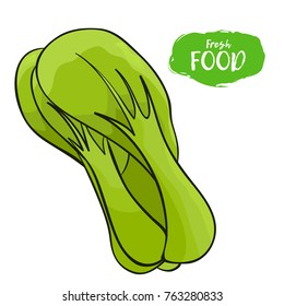 Vector illustration of broccoli. Sketch, color. Vivid picture of a vegetable. Fresh food. 