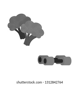 Vector illustration of broccoli  and vegetable sign. Collection of broccoli  and green stock symbol for web.