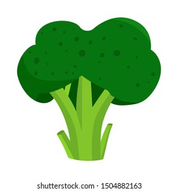 Vector illustration of broccoli and vegetables icon. Web element of broccoli and food vector icon for stock.