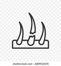 Vector illustration of broken hair icon in dark color and transparent background(png).