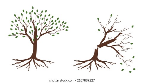 Ilustración vectorial de un árbol roto.