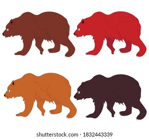 vector illustration of brown bear