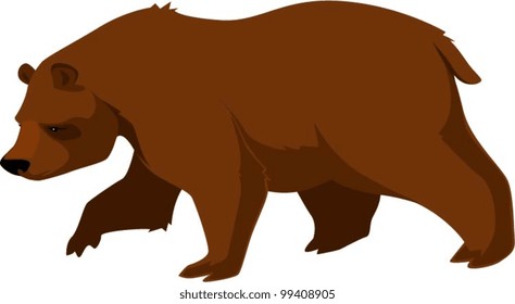 Vector illustration of a brown bear