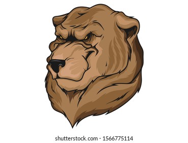 Vector illustration of a brown bear head on a white background