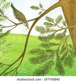 Vector illustration of a brown bird on a pine branch