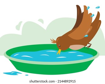 Ilustración vectorial: un pájaro marrón se sienta al borde de una bañera de jardín y bebe agua limpia aislada. Concepto - cuidado de los pájaros y la sed