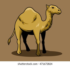 A vector illustration of brown camel