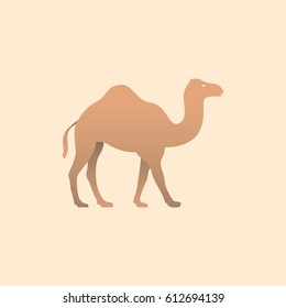 Vector illustration of brown camel. Icon logo camel side view, profile.