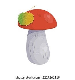 Vector illustration, brown cap boletus mushroom, Isolated, white background. 
Cep mushroom. Vegetarian fungi boletus for food. Nature darner for healthy nutrition. EPS 10.