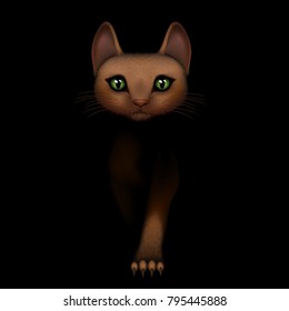 Vector illustration. Brown cat on a black background. Beige orange female cat goes forward, seen from the front side of the camera.
