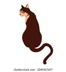 vector illustration of a brown cat, view from the back. Isolated on a white background