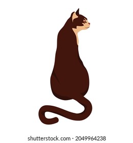 vector illustration of a brown cat, view from the back. Isolated on a white background	