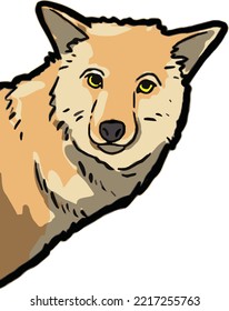 vector illustration of a brown coyote head looking with a piercing gaze