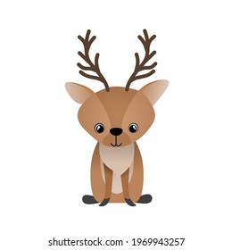 Vector illustration of a brown deer animal with a flat face