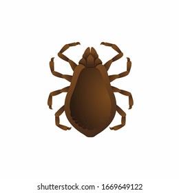 Vector Illustration Brown Dog Tick