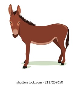 vector illustration of a brown donkey isolated on a white background