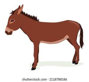 vector illustration of a brown donkey isolated on a white background