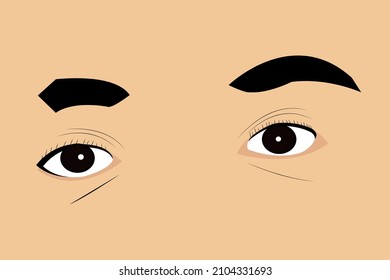 ilustración vectorial de ojos marrones cejas pestañas y piel facial