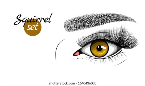 Vector illustration of brown female eye with extended eyelashes and eyebrow. Squirrel effect. Flat style with hand drawn lashes and brow.