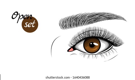 Vector illustration of brown female eye with extended eyelashes and eyebrow. Open eye. Flat style with hand drawn lashes and brow.