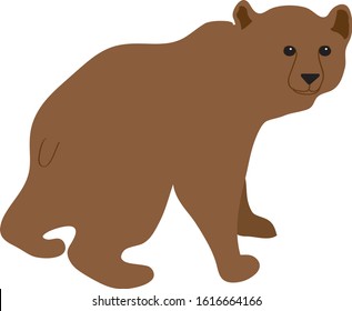 Vector illustration of a brown grizzly bear