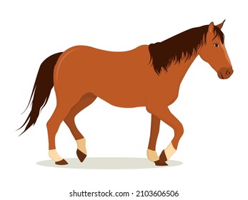 vector illustration of a brown horse with a dark mane isolated on a white background